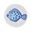 Pasta Plate 25 - P/Plaice