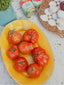 The Italian Feast