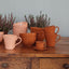 Espresso Cup W Saucer - 12/Arancio