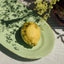 Plates 41x20 - 20/Verdino